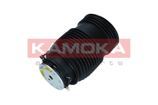 Air Spring, suspension 4