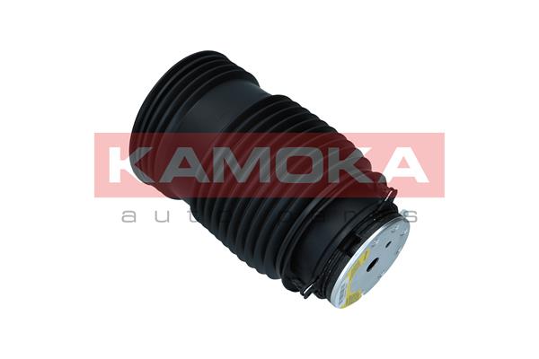 Air Spring, suspension 2