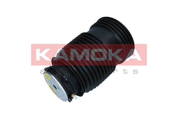 Air Spring, suspension 3