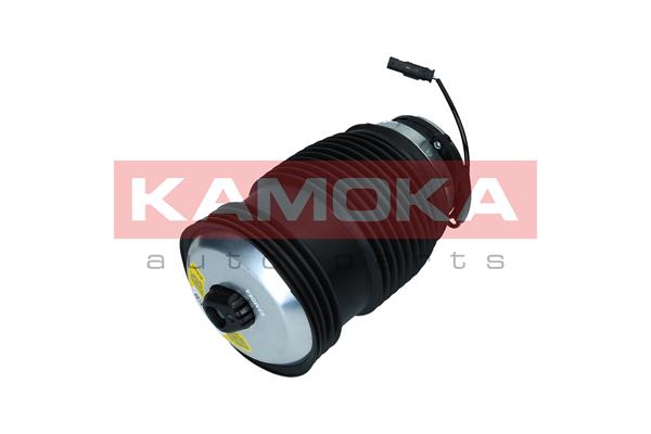 Air Spring, suspension