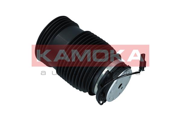 Air Spring, suspension 2