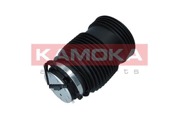 Air Spring, suspension 3