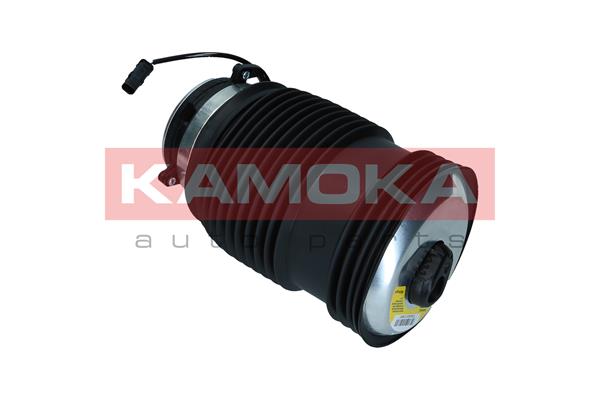 Air Spring, suspension 4