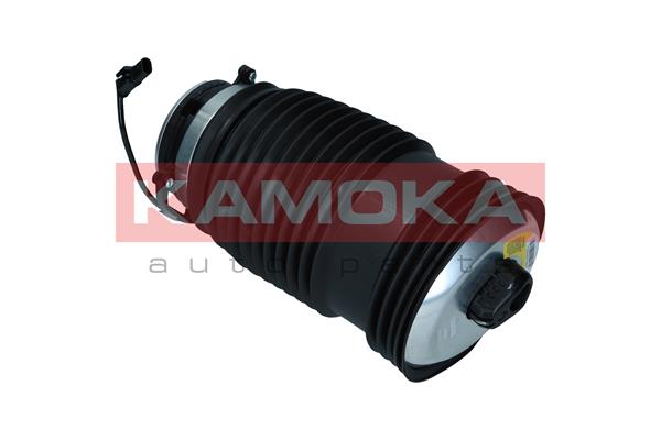 Air Spring, suspension 2