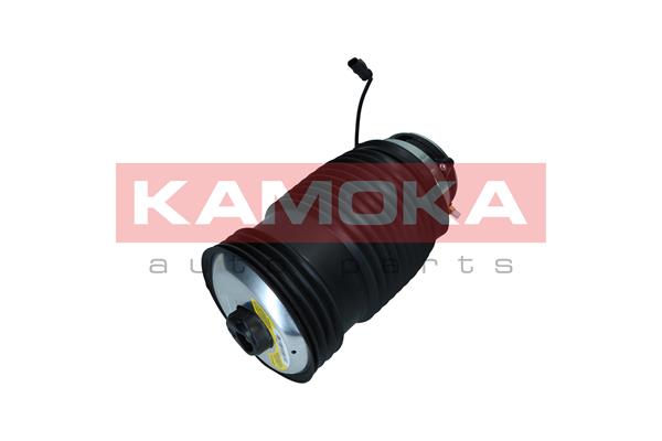 Air Spring, suspension 3