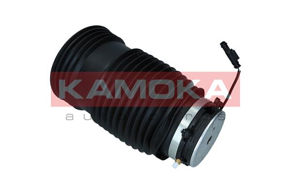 Air Spring, suspension 4