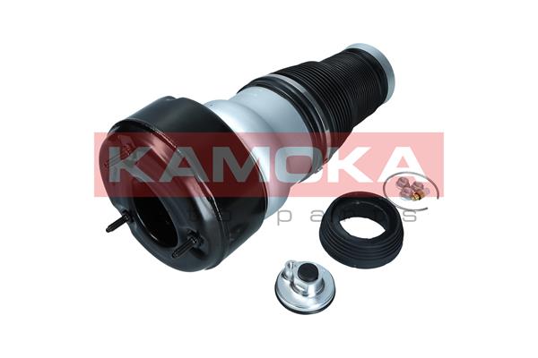 Air Spring, suspension