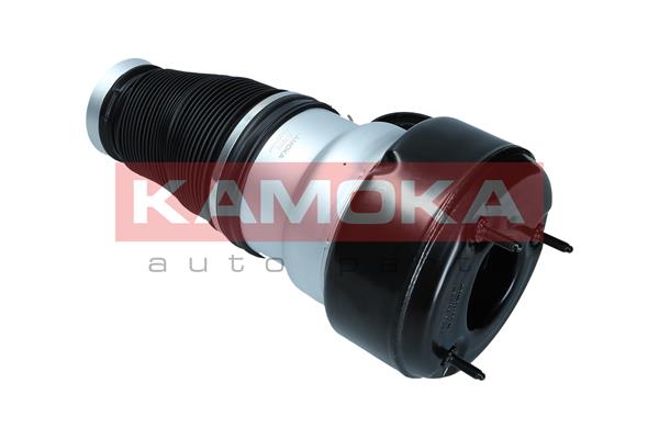 Air Spring, suspension 4
