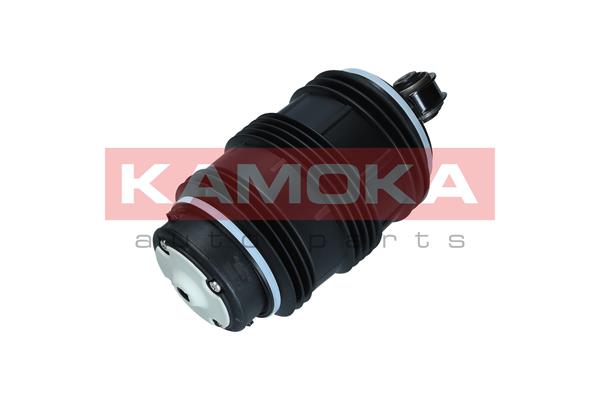 KAMOKA 2079053 Molla...