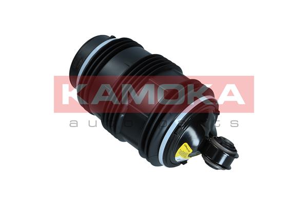 Air Spring, suspension 2
