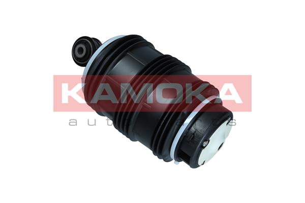 Air Spring, suspension 4