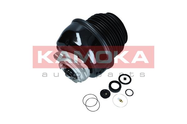Air Spring, suspension