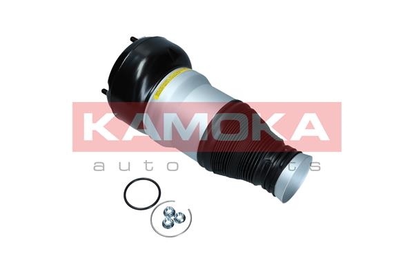 Air Spring, suspension 2