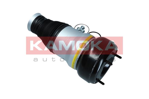 Air Spring, suspension 4