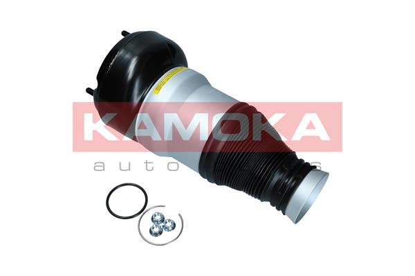 Air Spring, suspension 2