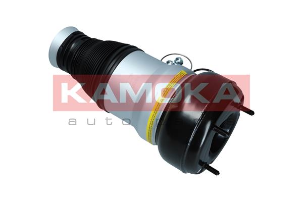 Air Spring, suspension 4