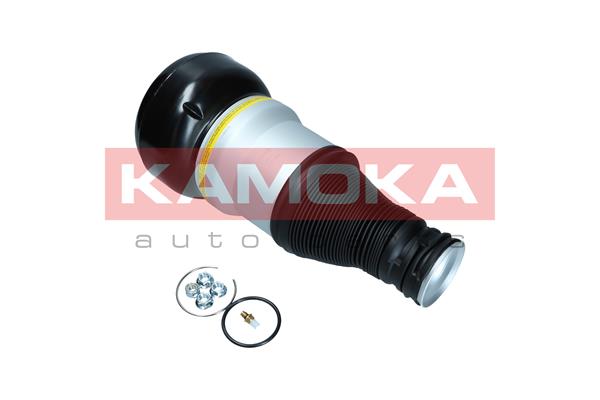 Air Spring, suspension 2