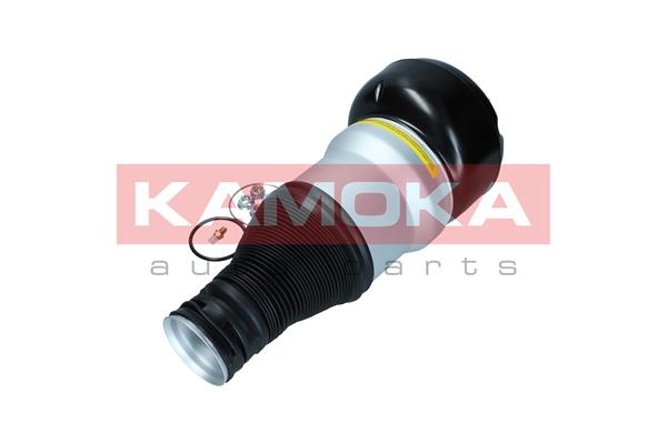 Air Spring, suspension 3