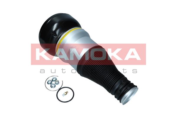 Air Spring, suspension 2