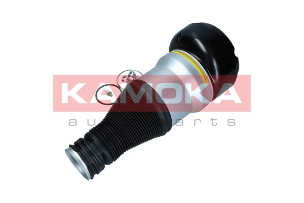 Air Spring, suspension 3