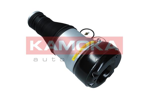 Air Spring, suspension 4