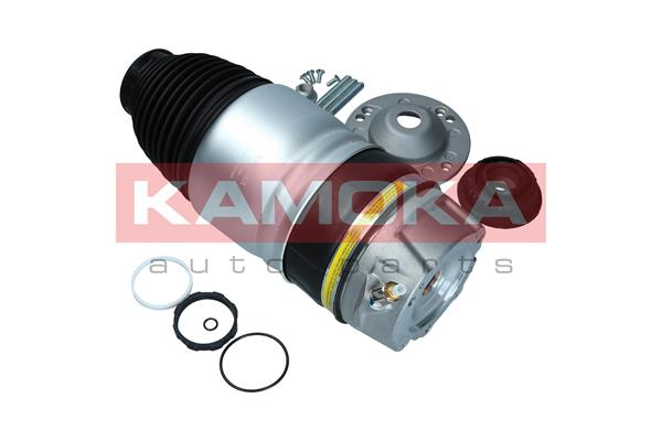 Air Spring, suspension 4