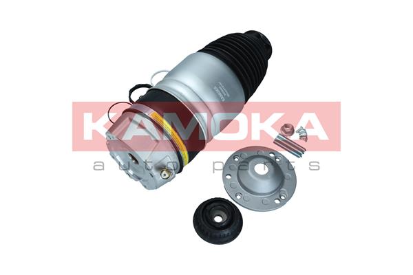 Air Spring, suspension