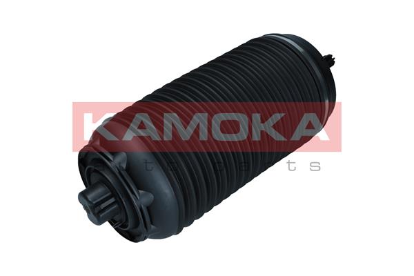 Air Spring, suspension 3