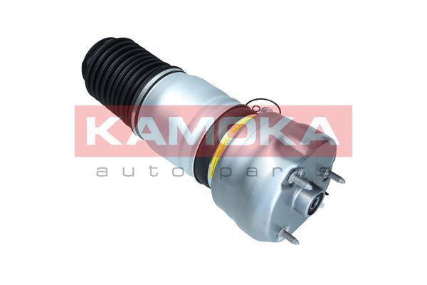 Air Spring, suspension 4