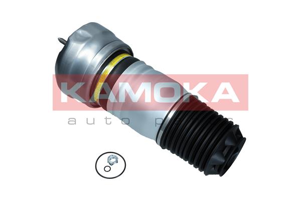 Air Spring, suspension 2