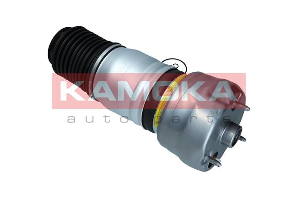 Air Spring, suspension 4