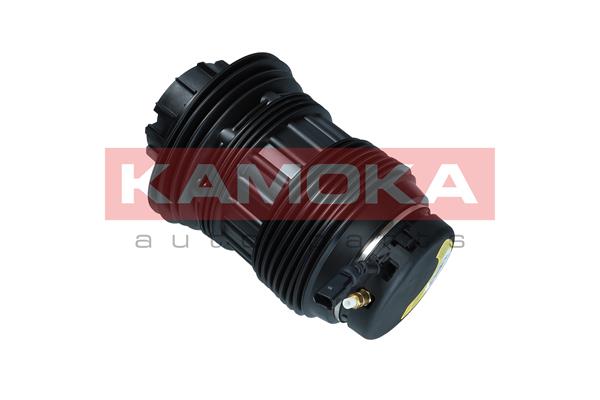 Air Spring, suspension 2
