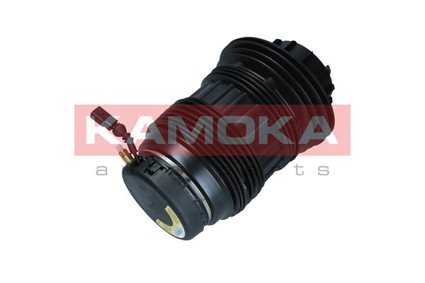 Air Spring, suspension 3
