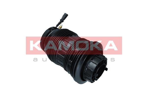 Air Spring, suspension 4
