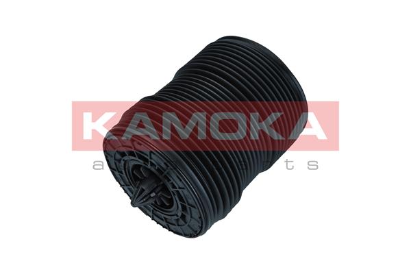 Air Spring, suspension