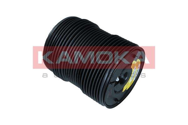 Air Spring, suspension 2