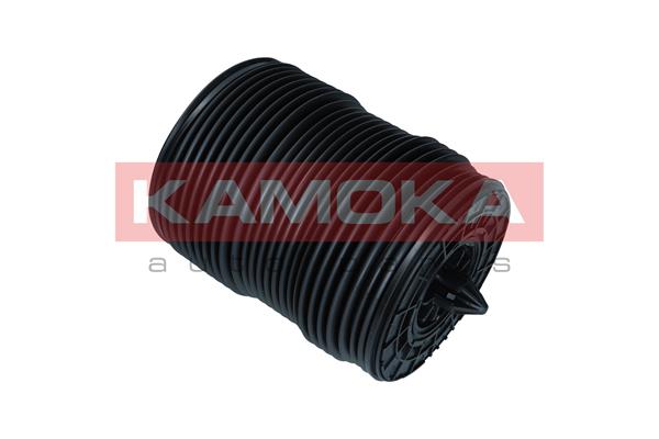Air Spring, suspension 4