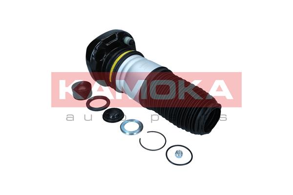 Air Spring, suspension