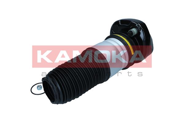 Air Spring, suspension 2