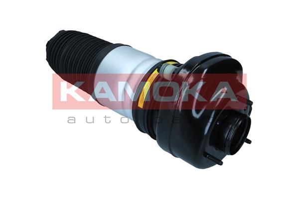 Air Spring, suspension 3