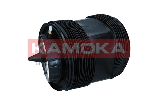 Air Spring, suspension 2
