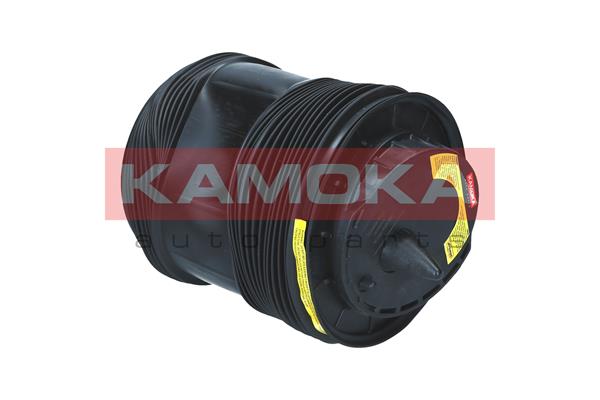 Air Spring, suspension