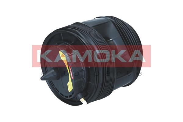 Air Spring, suspension 2