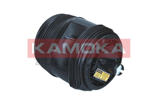Air Spring, suspension 3
