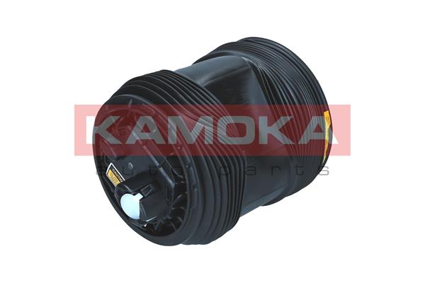 Air Spring, suspension 4