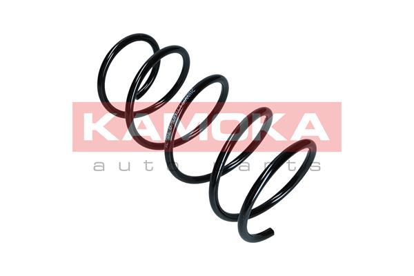Suspension Spring