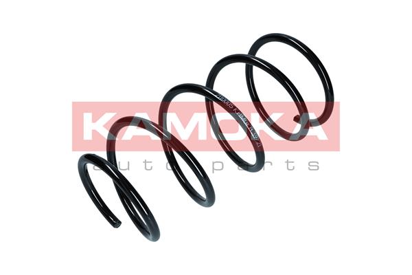 Suspension Spring 4