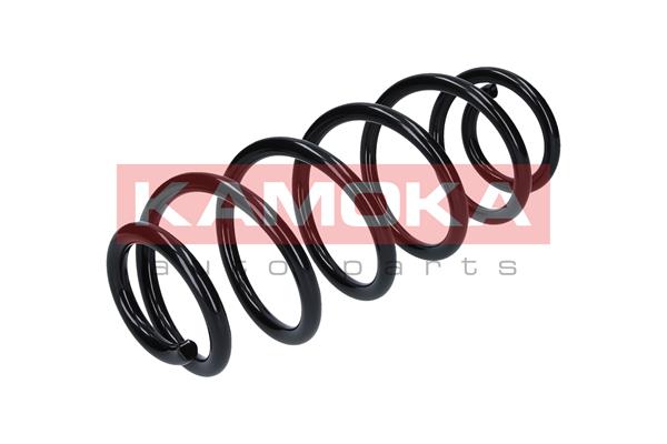 Suspension Spring
