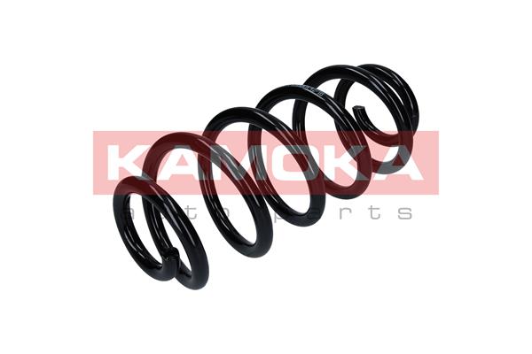 Suspension Spring