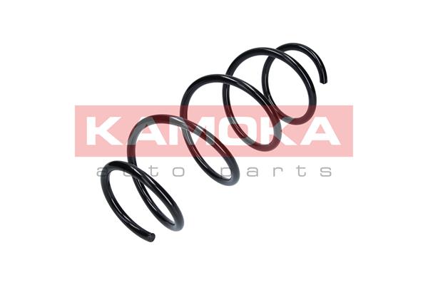 Suspension Spring 3